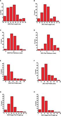 Genome-wide association analysis reveals the optimal genomic regions for pod size in bean